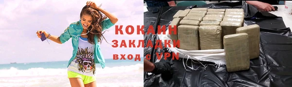 молекула духа Бородино