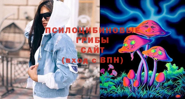 молекула духа Бородино