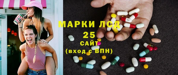 молекула духа Бородино