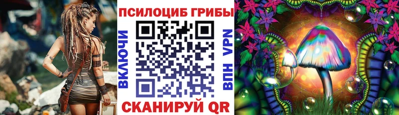 Галлюциногенные грибы Psilocybine cubensis  площадка состав  Наро-Фоминск 